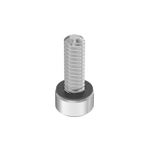 A4 with O-Ring Sealing Socket Head Screw M2 x 0.4 mm Thread size, 6mm Long图3